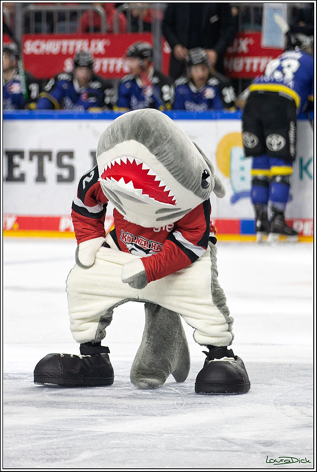 PENNY DEL; Koelner Haie- Fishtown Pinguins Bremerhaven; Koeln, 23.11.2021